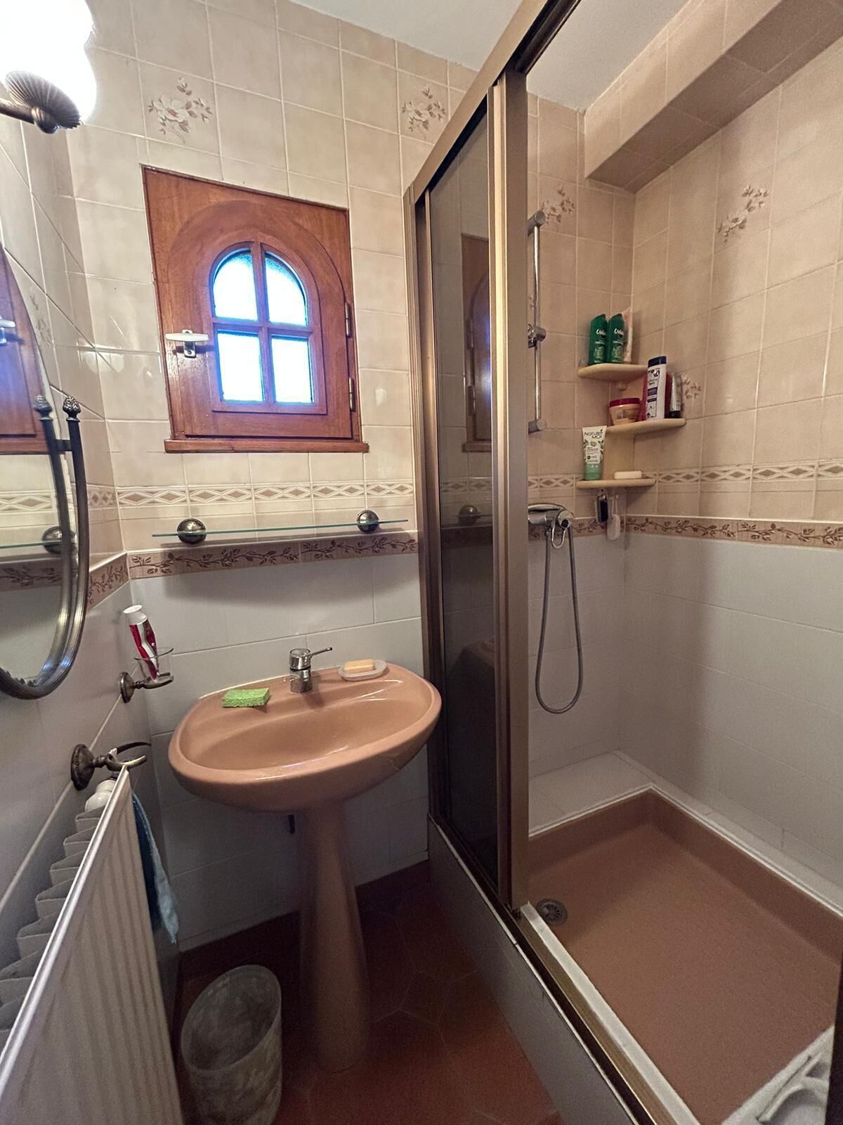 A bathroom with a sink, mirror, shower, and a window.