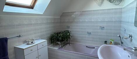 A bathroom with a skylight, a bathtub, a sink, a toilet, and a small plant.