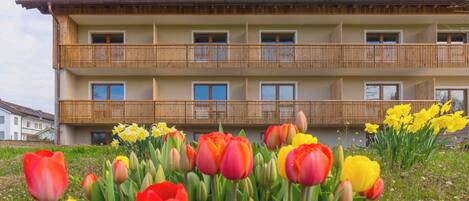 Facciata della struttura