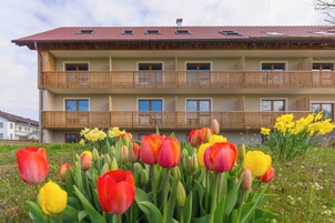 Fachada del alojamiento