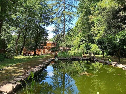 Accogliente Appartamento, Animali Ammessi, Vicino Roma, Bracciano, Ladispoli