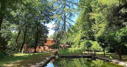 Accogliente Appartamento, Animali Ammessi, Vicino Roma, Bracciano, Ladispoli