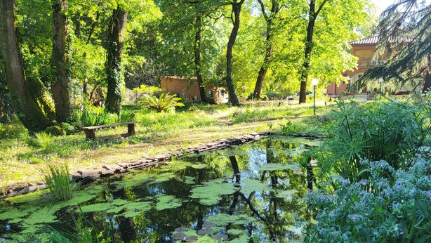 A serene garden with a pond, wooden walkway, and benches. - Accogliente Appartamento, Animali Ammessi, Vicino Roma, Bracciano, Ladispoli (Lazio)