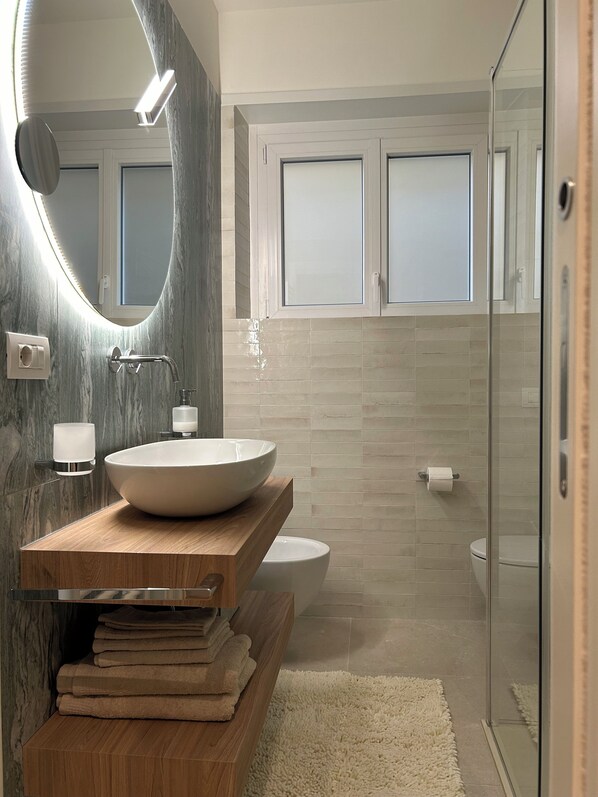 Shower, hair dryer, bidet, towels