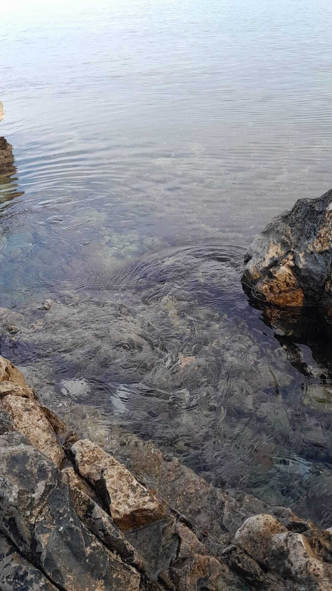 Una costa rocosa amb aigua cristal·lina.