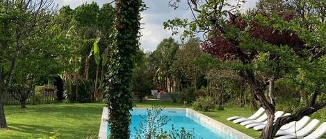 Una piscina rodeada de abundante vegetación y un cielo despejado.