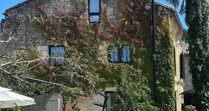 Maison Mercy - Domaine Avec 2 Maisons - 17 Couchages sur les Côtes de Bourg