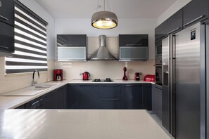 Fridge, microwave, oven, stovetop - Niovis Villa with Private Pool (Rhodes)