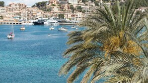 Un port marítim amb vaixells, una palmera en primer pla, i edificis al fons.