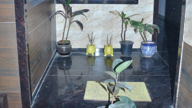 A marble staircase with potted plants and a window. - Girdhar Sanwaria Palace (Danta Ramgarh)