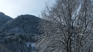 Un paisaje nevado con un coche aparcado y un árbol en primer plano.