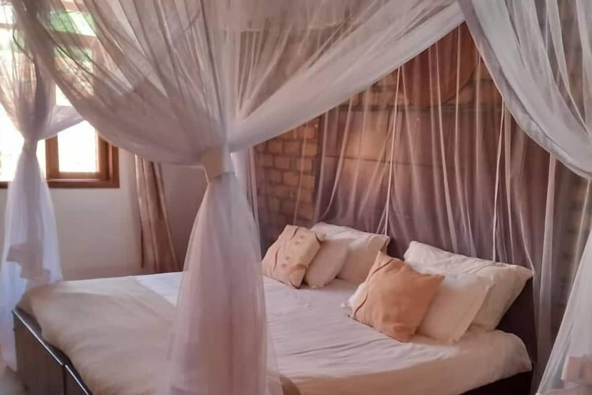 Basic-Doppel- oder -Zweibettzimmer, Gartenblick | Kostenloses WLAN
