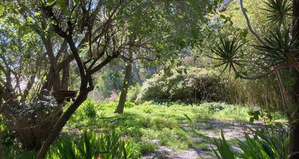 The country cottage
Close to town.
Family friendly and pet friendly.