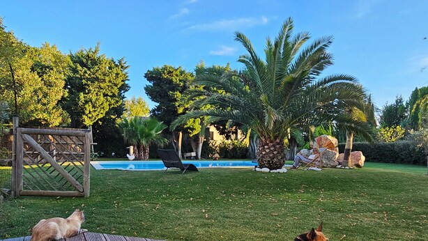 Un patio trasero con una terraza de madera, piscina y césped.