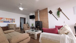 TV, fireplace, books