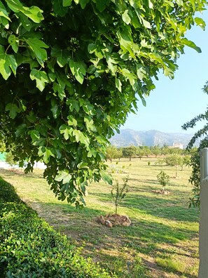 Terrein van de accommodatie