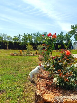 Jardines del alojamiento