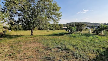 Àrea exterior de l'allotjament
