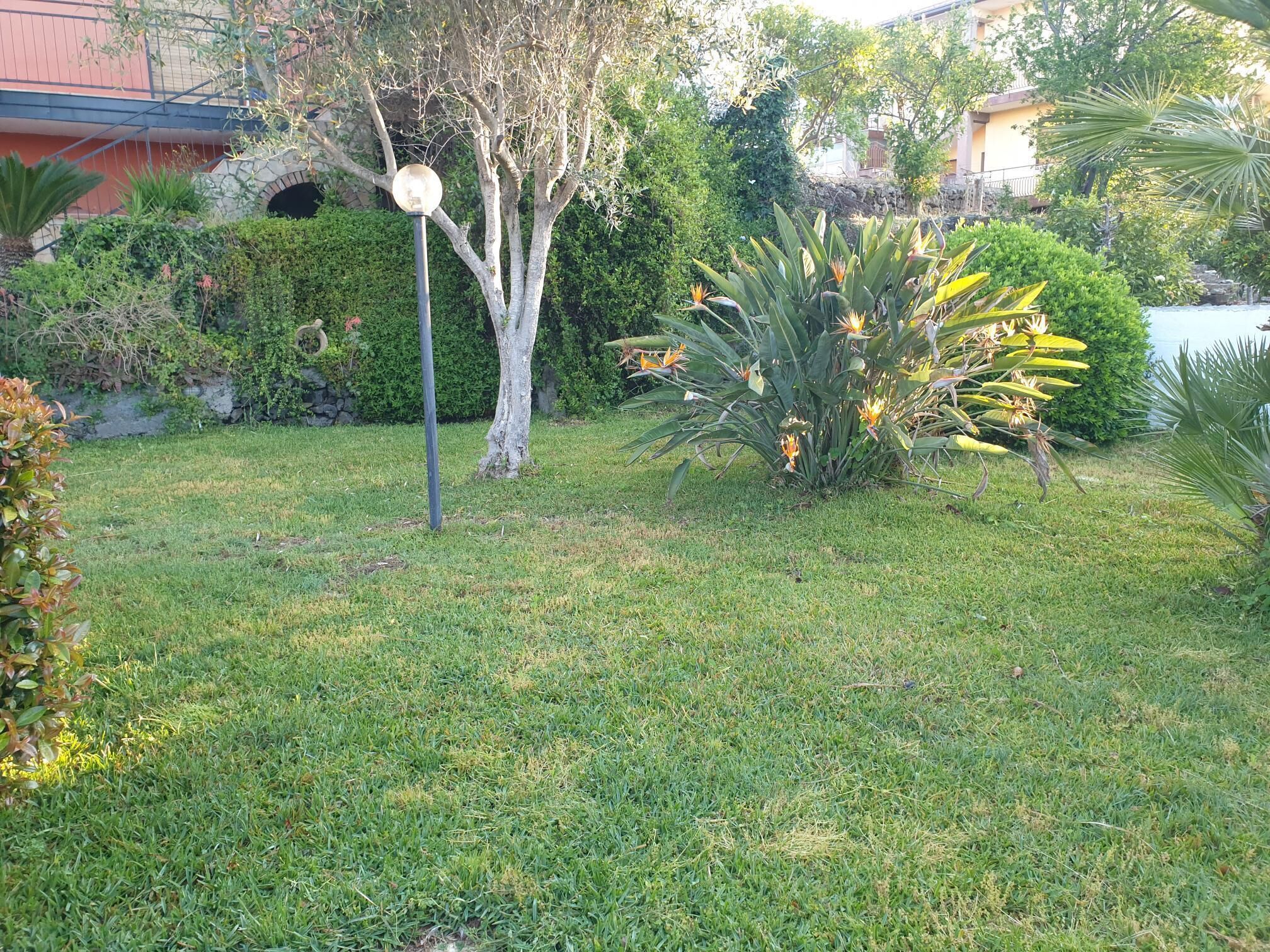 A well-maintained garden with various plants and a street lamp.
