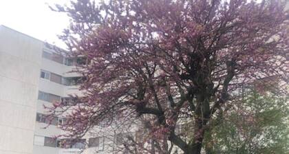 Dans la verdure, au calme, tout prĂšs de Paris