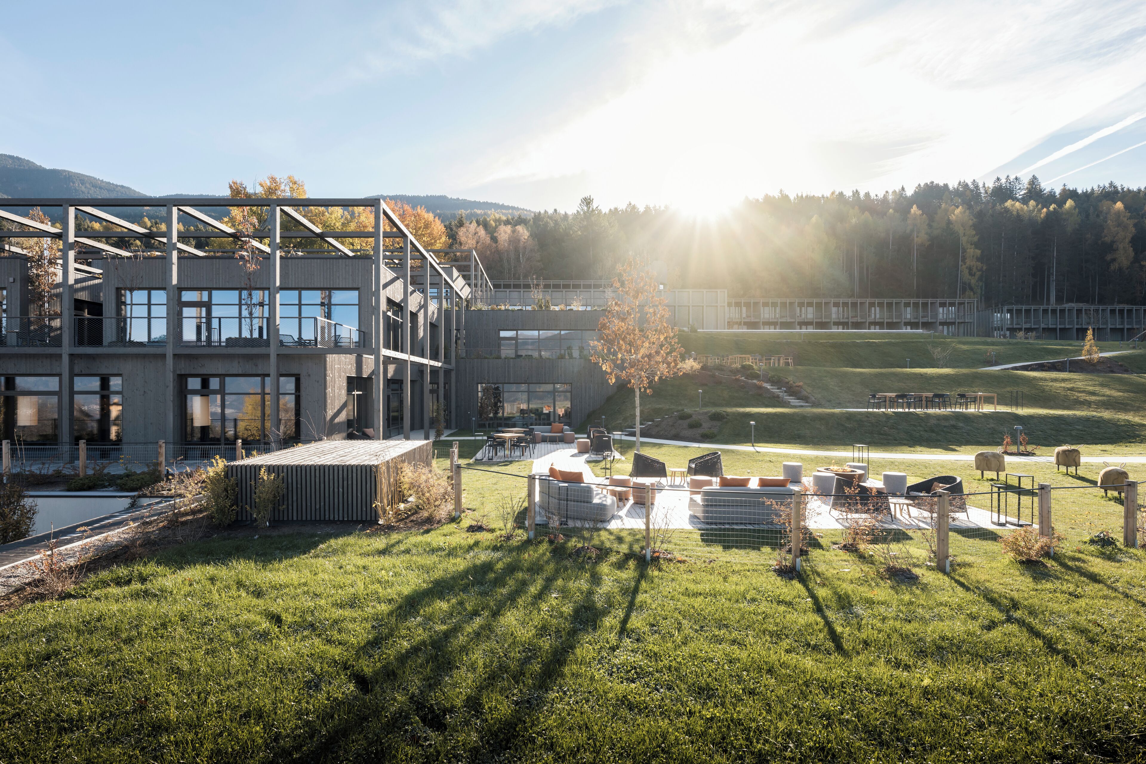 A modern building with a glass facade, outdoor seating, and a grassy area with sheep.