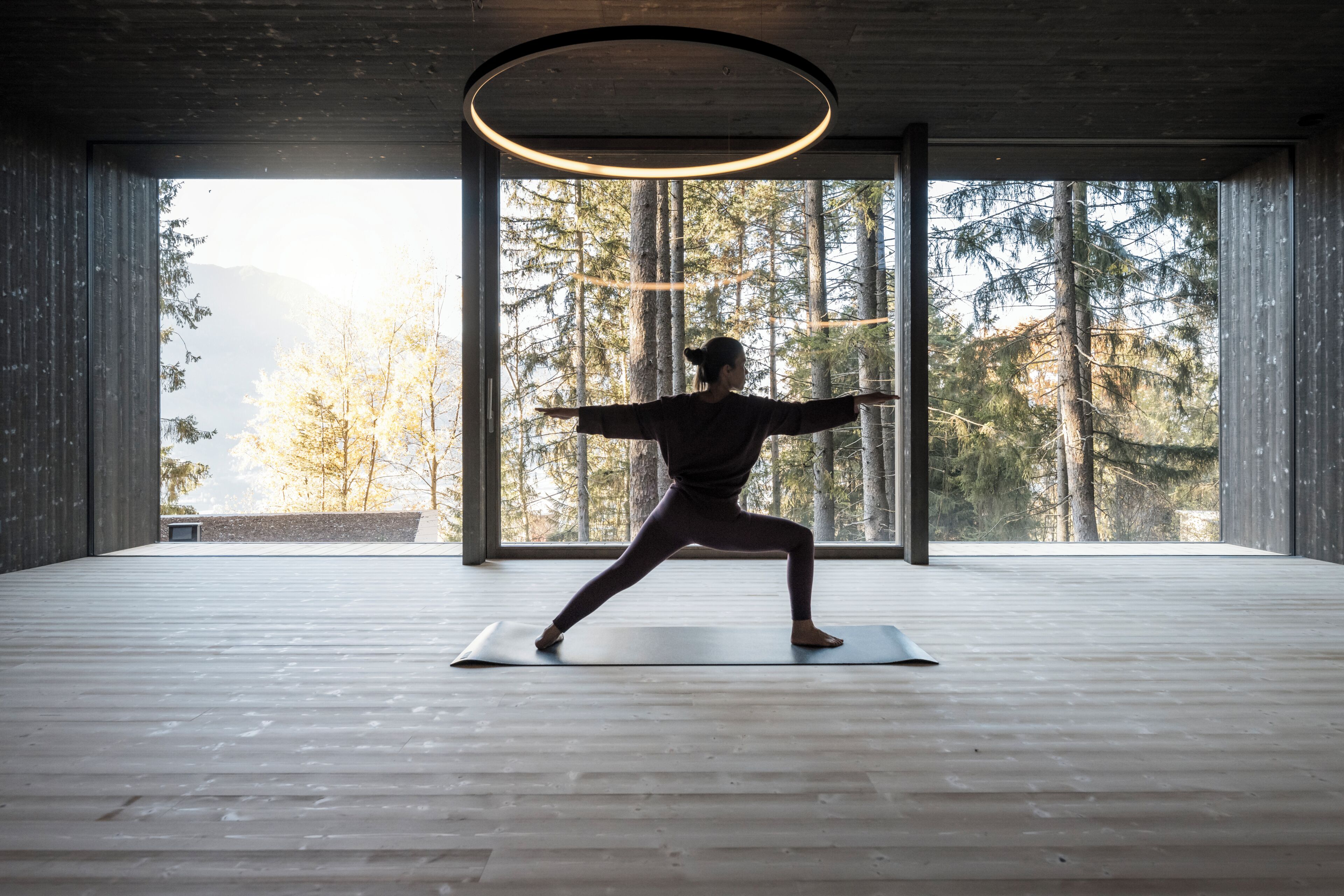 Une pièce spacieuse avec une grande fenêtre, un plancher en bois et un luminaire circulaire au plafond.