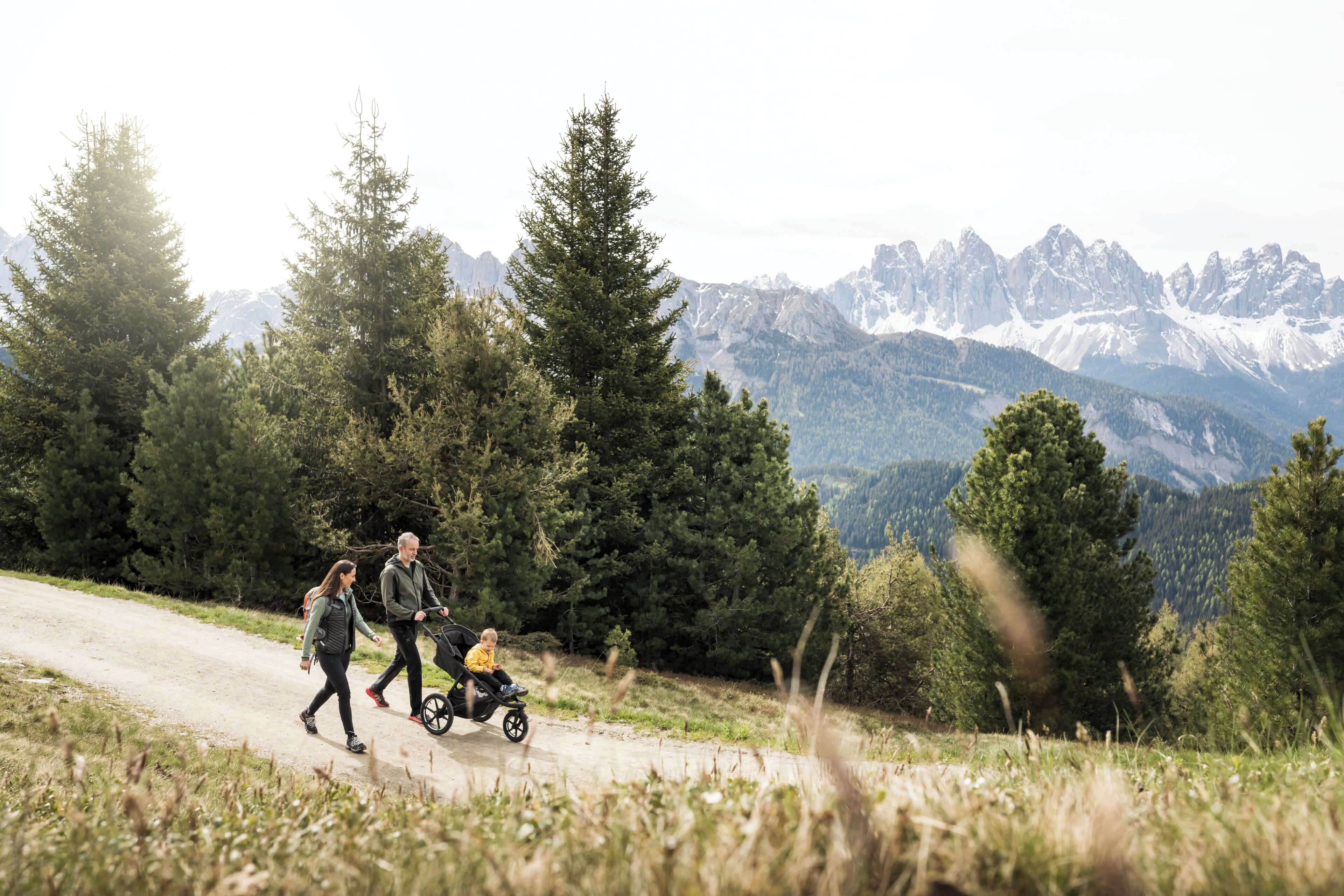 A family walking on a dirt path with a stroller, surrounded by tall trees and mountains in the background.