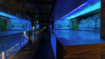 Piscina interna, piscina externa sazonal