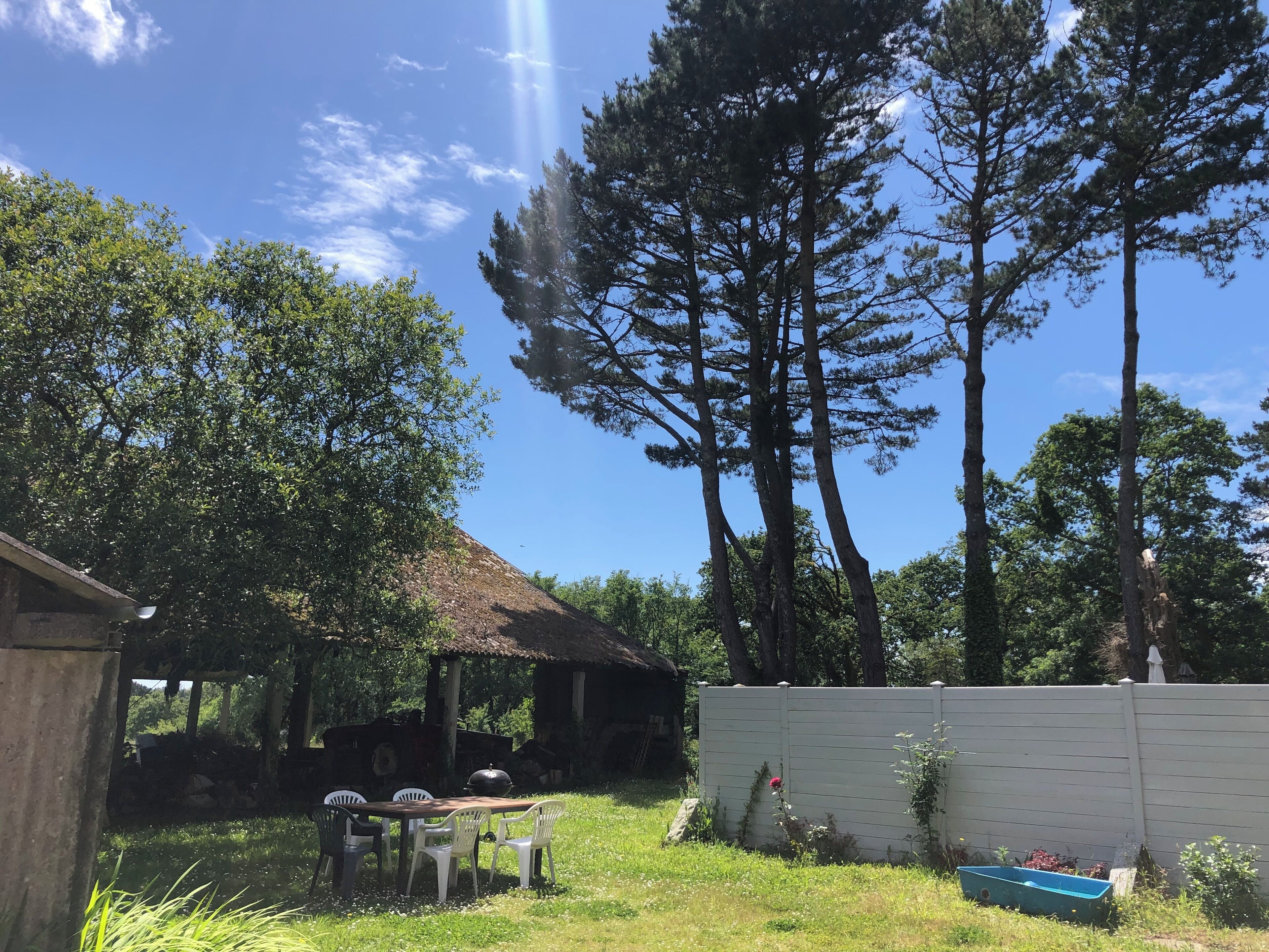 A wooden table with chairs and a thatched-roof structure in a grassy outdoor area with tall trees.