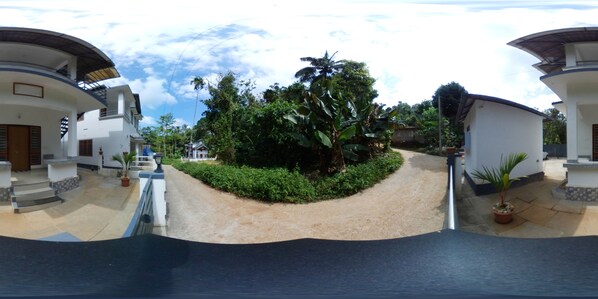 A modern building with a curved roof and a central garden area with tropical plants.