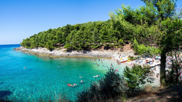 A coastal beach with clear turquoise waters, a sandy shore, and a forested hill. - Villa Ancora With Private Pool (Marcana)