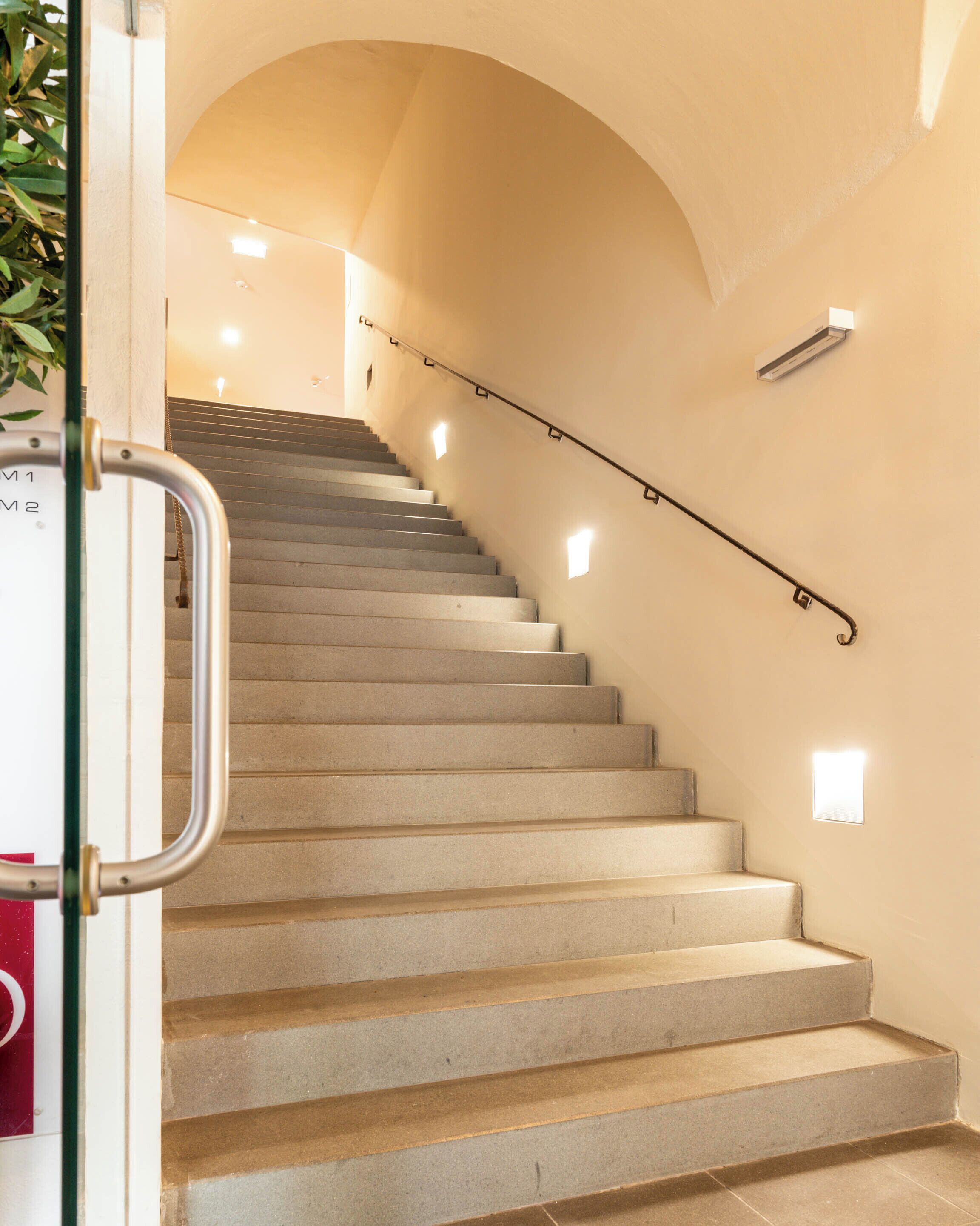 A staircase with a handrail, a wall-mounted light, and a plant to the left.