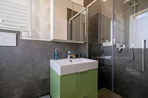 Regadera, secadora de cabello, bidet, toallas 
