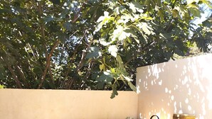 Eine Holzterrasse mit einem Whirlpool, einem grünen Sofa und einer Wand mit Baum.