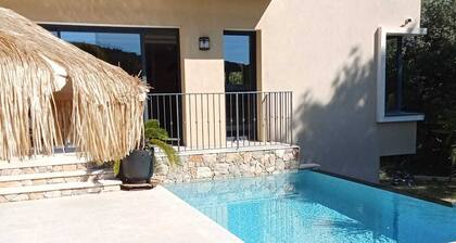 Californian villa between Antibes and Cannes