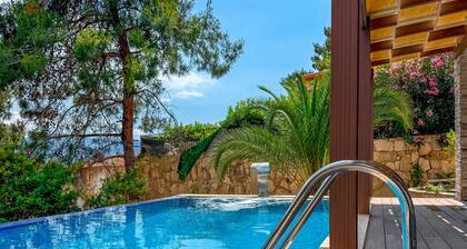 Villa Siesta