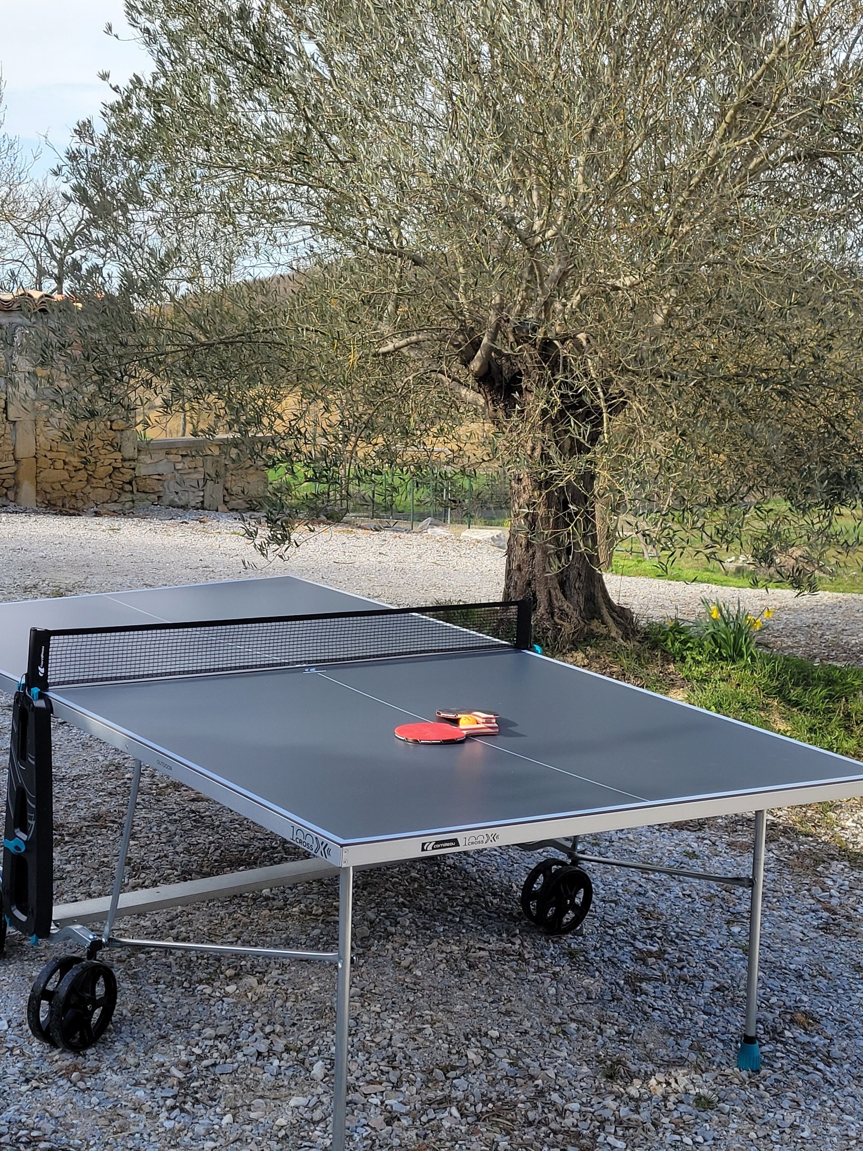 Ein Tischtennis-Tisch mit Netz, draußen aufschlagen, mit Baum und Kiesboden.