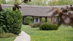A pathway leading to a building with a thatched roof, surrounded by greenery and a lawn with yellow flowers. - Egreta By Hoxton (Murighiol)
