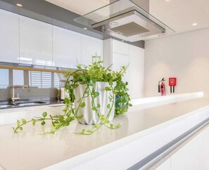Une cuisine moderne avec un plan de travail blanc, un évier en acier inoxydable et une plante en pot.