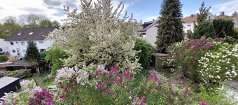 Sun-drenched, family-friendly apartment with balcony & large kitchen