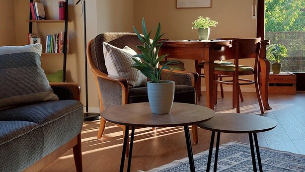A cozy living room with a sofa, a coffee table with a plant, a bookshelf, and a dining area with a table and chairs. - Sun-drenched, family-friendly apartment with balcony & large kitchen (Bad Camberg)