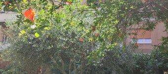 One Bedroom Apartment