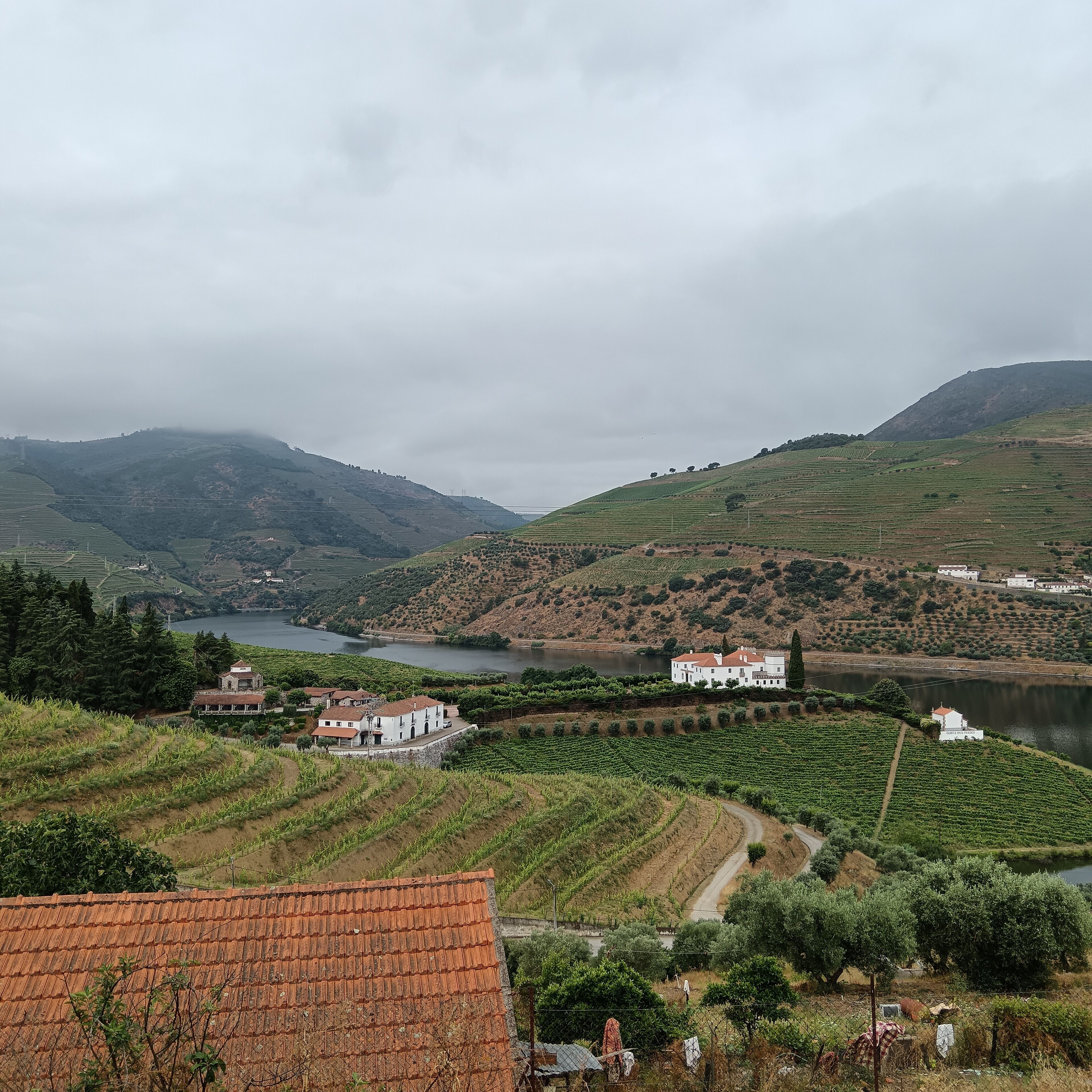 A rural landscape with terraced vineyards, a body of water, and traditional white buildings.