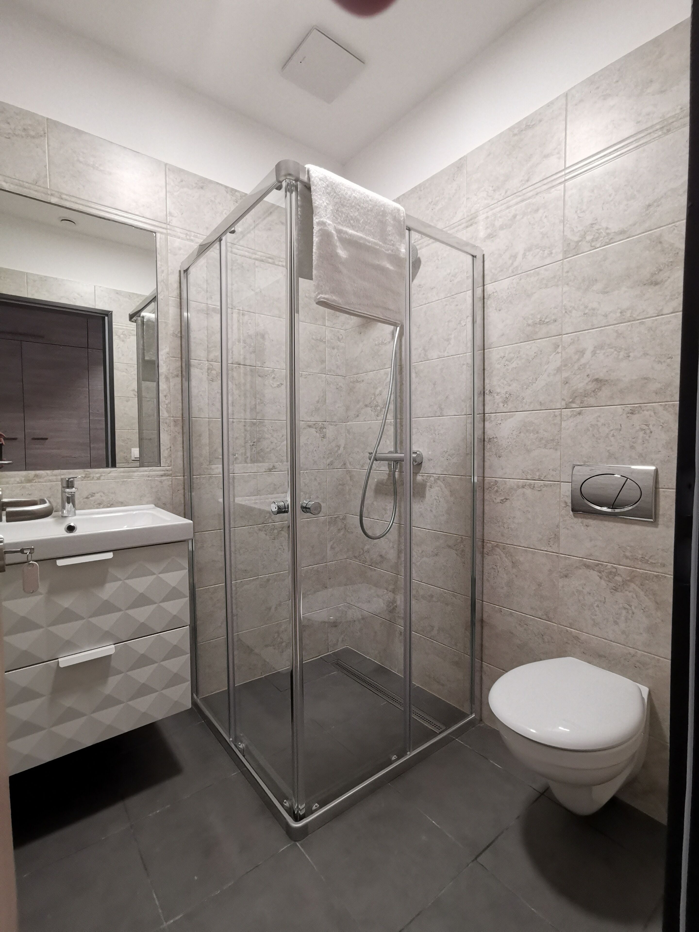 A modern bathroom with a glass-enclosed shower, a toilet, and a vanity with a mirror.