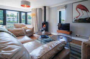 TV connectée, cheminée