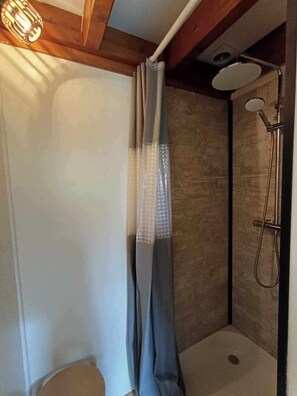 Shower, hair dryer, toilet paper