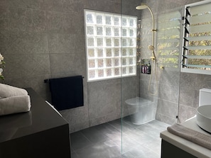 Regadera, toallas, jabón, papel de baño