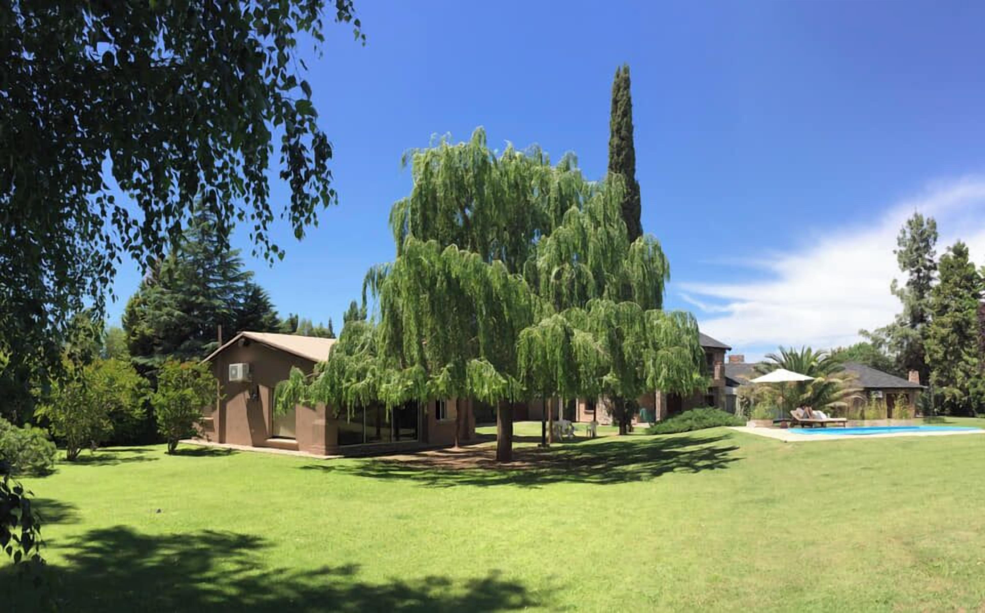 Une maison avec une grande pelouse, une piscine et un grand arbre au centre.