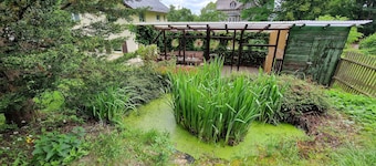 Haus am Wald Quietly located vacation apartment on the ground floor with terrace