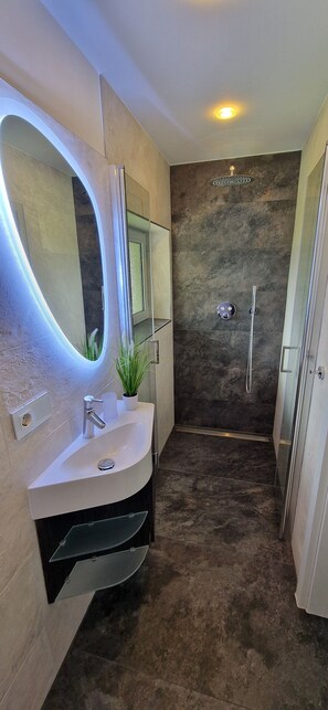 Douche, sèche-cheveux, serviettes fournies, papier toilette